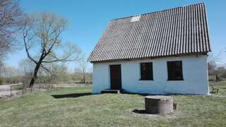 Фото Лоджи Domek blisko Biebrzy г. Radziłów